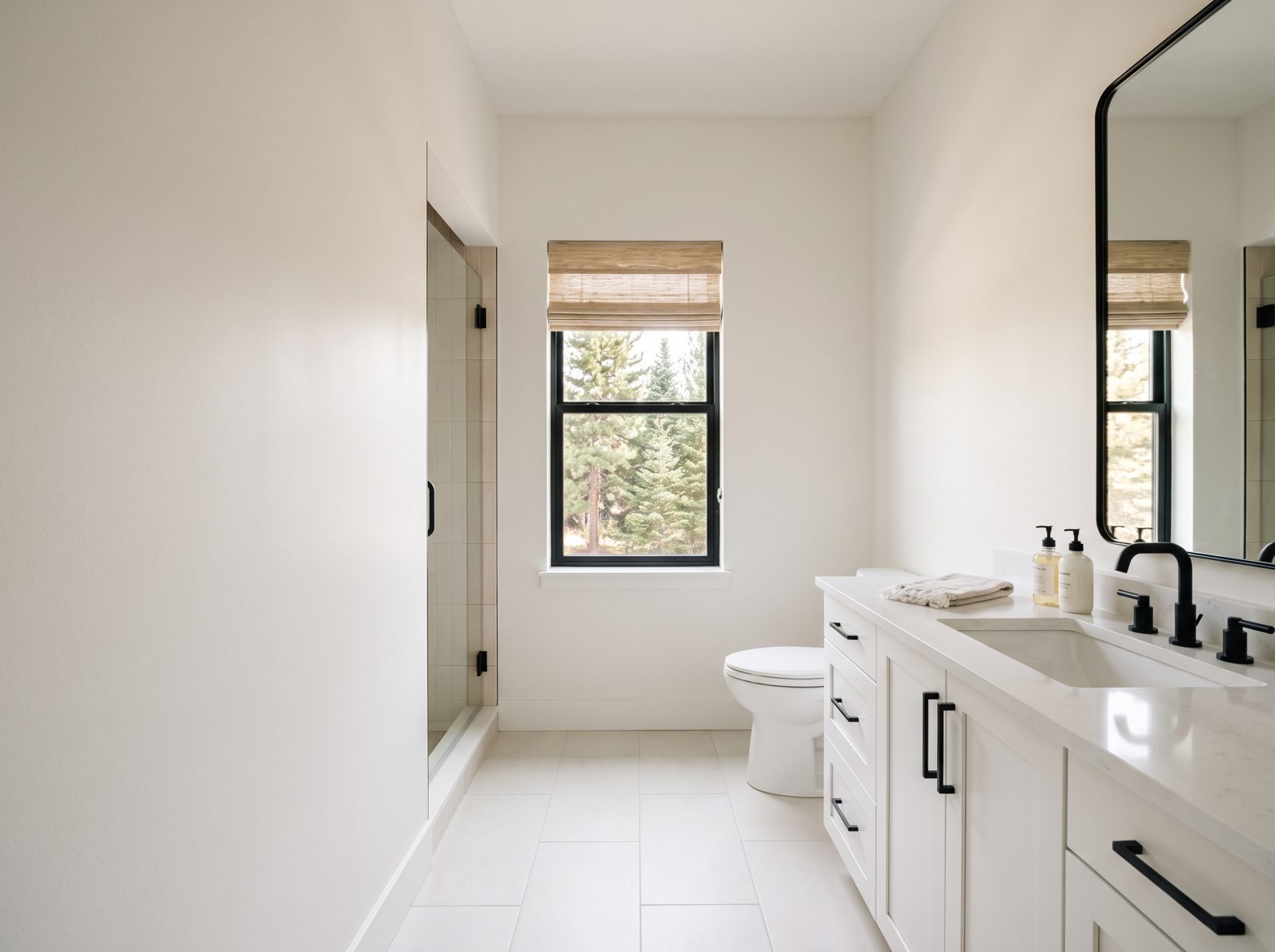 Mt. Bachelor Pad concept rendering: bathroom with vanity and walk-in shower